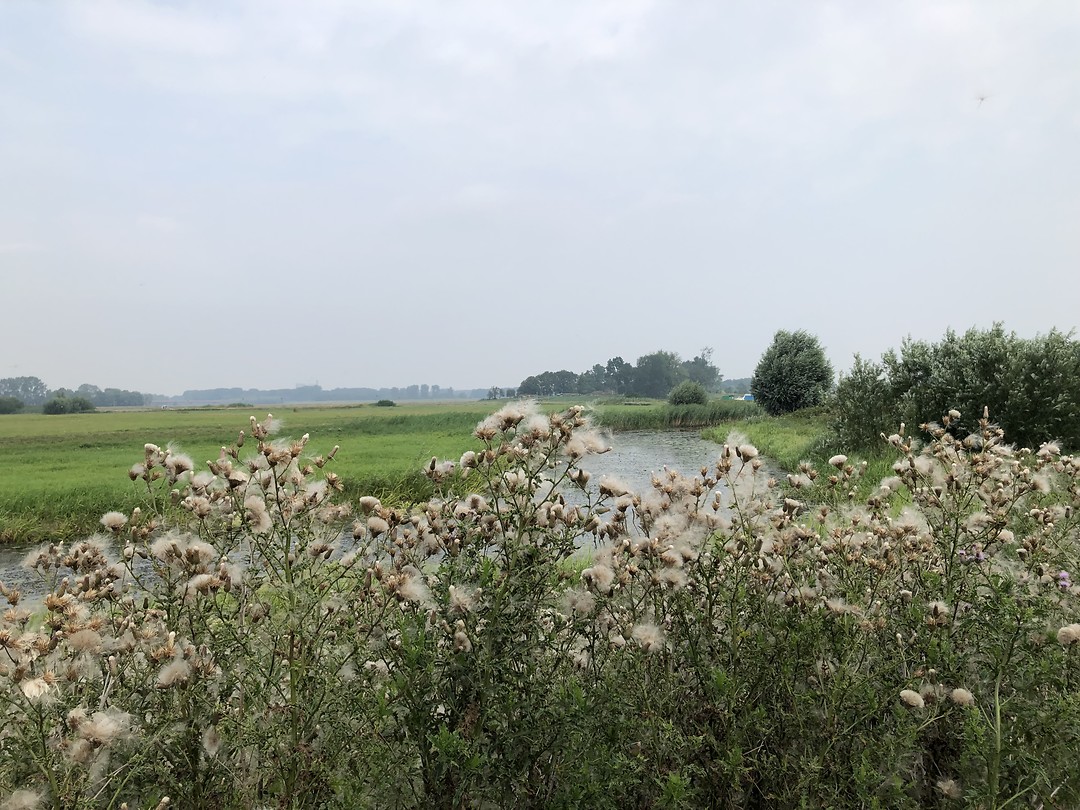 Langs de Ijssel  (westzijde)