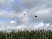 Begeleiding van boven