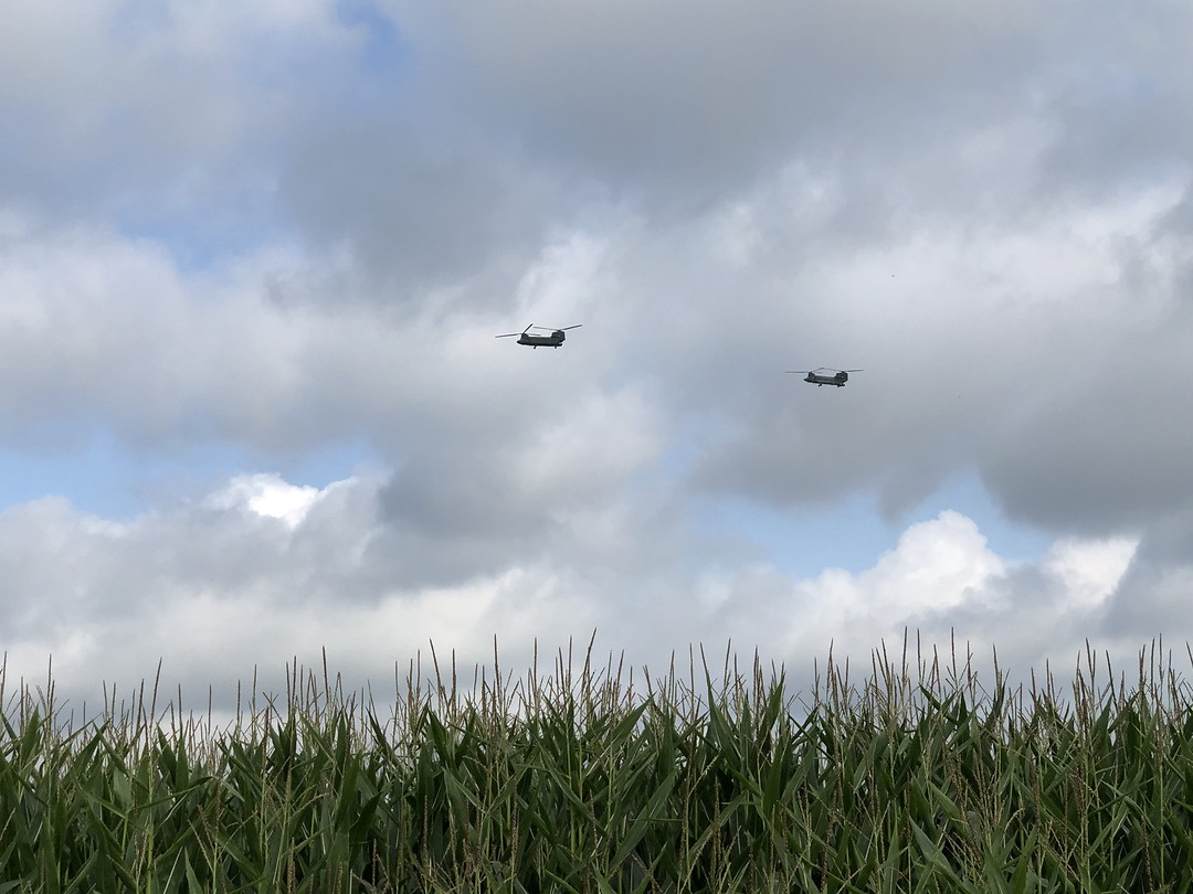 Begeleiding van boven