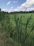 Langs de route