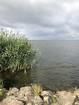Strandje bij Veluwemeer