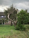 Een toevallige compositie van takken