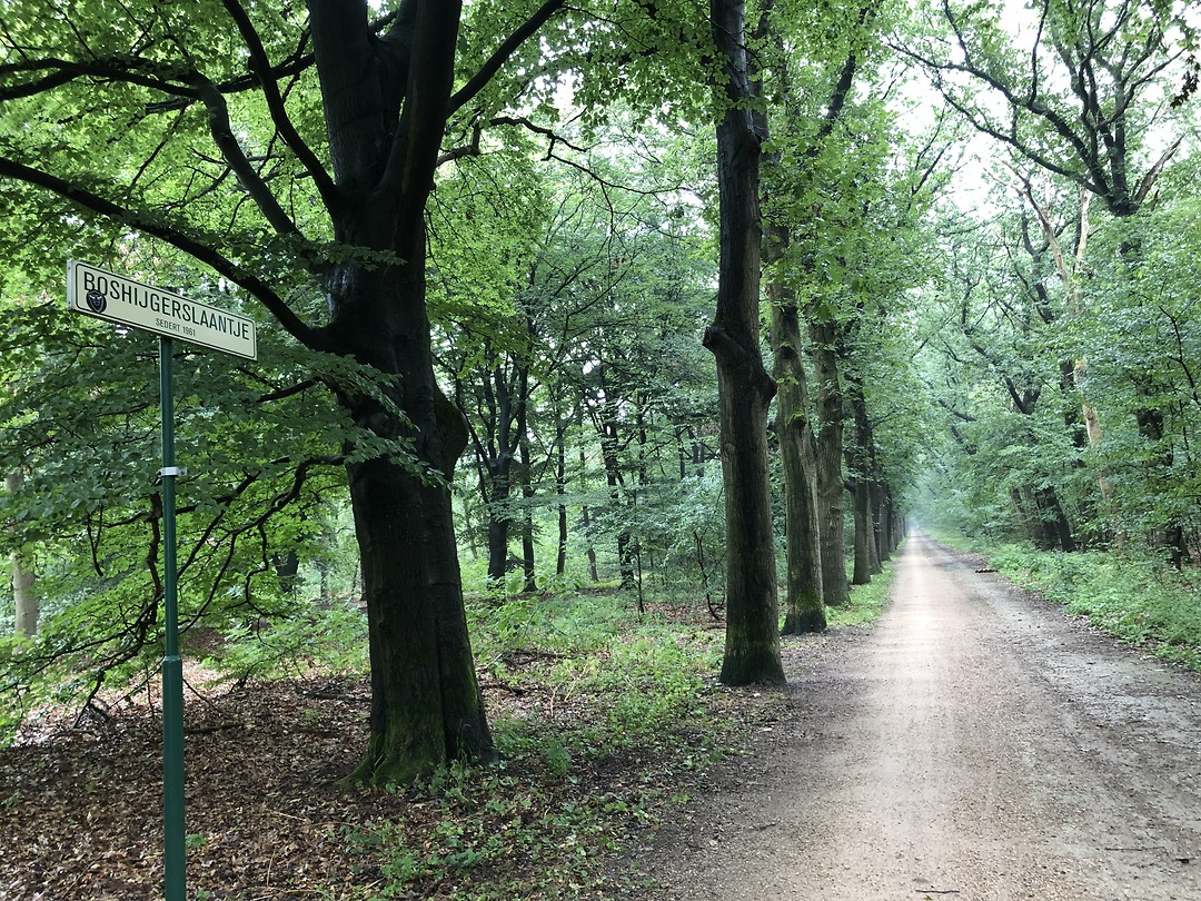 Het boshijgerspaadje