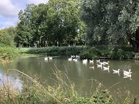 Amelisweerd