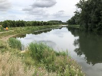 Kromme Rijn bij Odijk