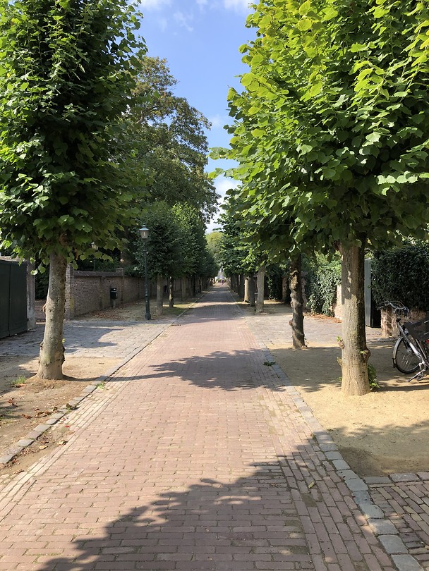 Wijk bij Duurstede