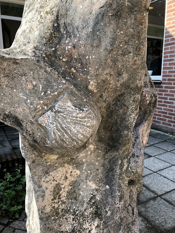 Het Jacobsbeeld is voorzien vd schelp