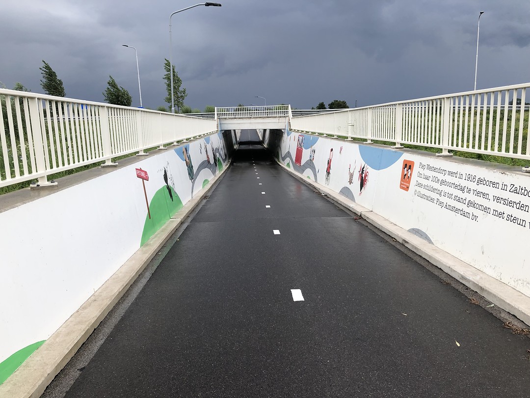 Fiepstunnel