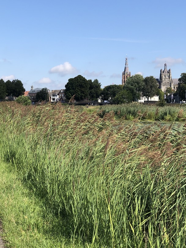Den Bosch achter me