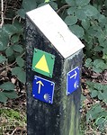 Camino route-pijl