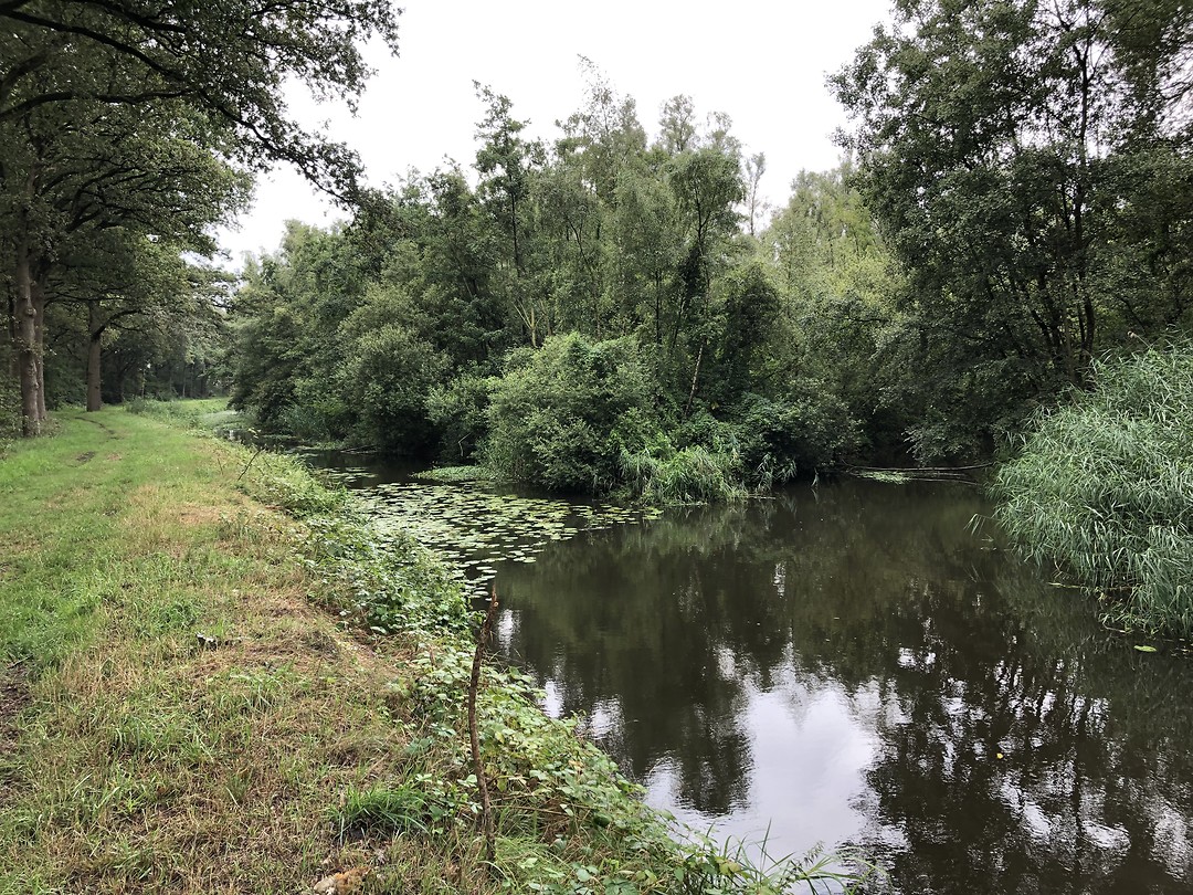 Het riviertje de Beerze