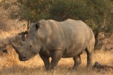Zuid-Afrika 2014 048