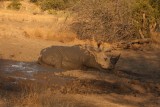 Zuid-Afrika 2014 066