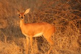 Zuid-Afrika 2014 085