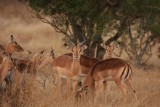 Zuid-Afrika 2014 114