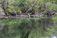 6245936704_IMG_0075