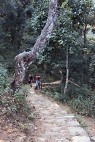 Klim naar de peace pagoda