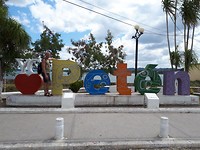 Flores