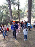 Picknick