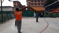 Volleybal
