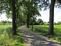 waterlinie