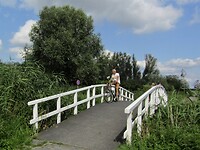 waterlinie