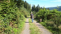 Rondwandeling vanuit Kyllburg