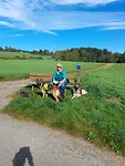 Rondwandeling vanuit Kyllburg