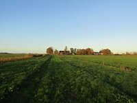 Antonius Hoeve
