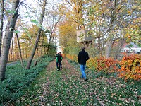 Schokland
