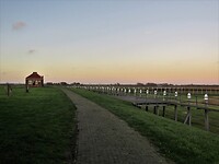 De Misthoorn