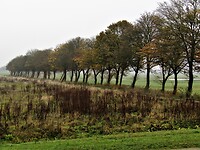 Schokland