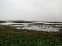 Schokland