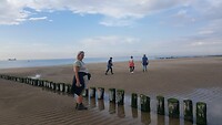 IMG-20220624-WA0003