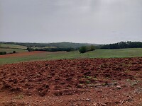 Onderweg naar Siena