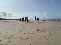 Strand bij De Cocksdorp