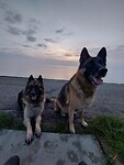 Zonsopgang kijken