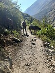 Manaslu trekking.