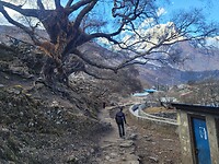 Manaslu trekking.