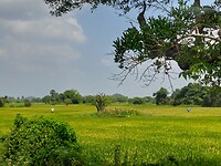 Onderweg naar Trincomalee