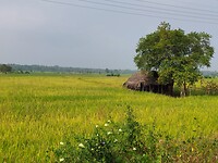 Polonnaruwa