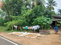 Polonnaruwa