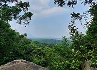 Dambulla