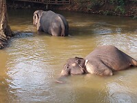 Sigiriya