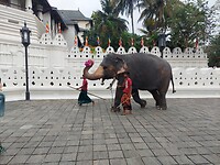 Kandy