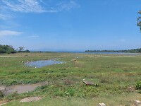 Udawalawe