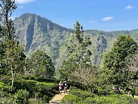 Wandeling naar Little Adam's Peak