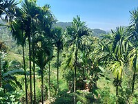 Wandeling naar Little Adam's Peak