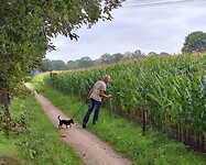 1000020126