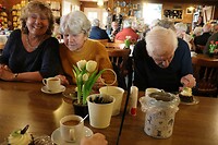 IMG_0136